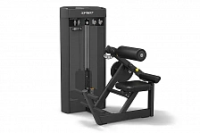 Разгибание спины Spirit SP-4310